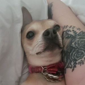 Meet your Posher, Kassi